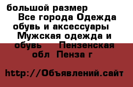 большой размер XX L  (2x) - Все города Одежда, обувь и аксессуары » Мужская одежда и обувь   . Пензенская обл.,Пенза г.